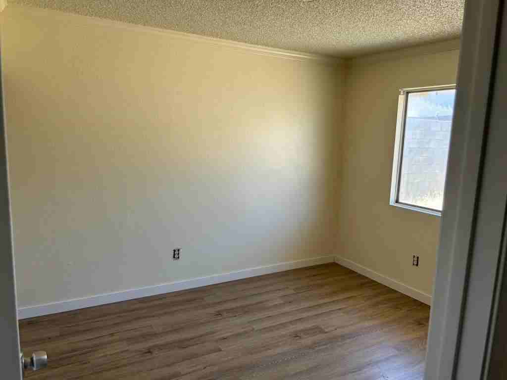 37641 Nectarine Dr - Photo 4 of 11