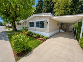 featured image of 443 Ashwood Dr