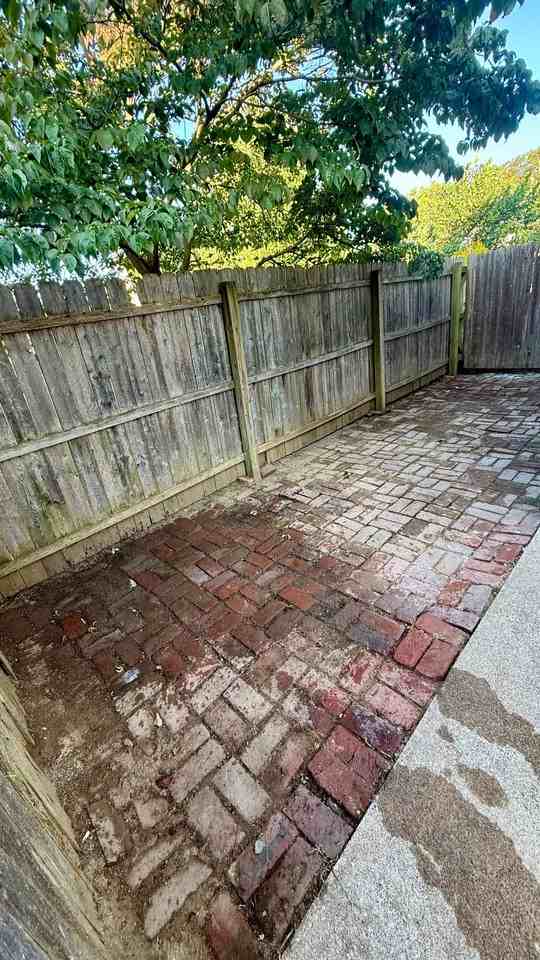 236 Laurel St - Photo 3 of 17