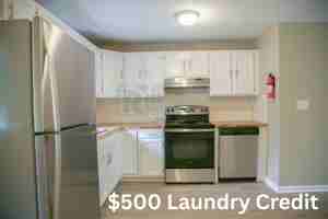 featured image of 11 Hickey St #5