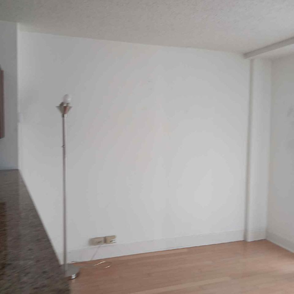 151 E Washington Street328 #328 - Photo 7 of 22