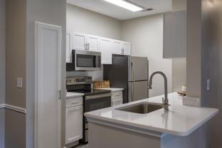 Wyndchase Aspen Grove - Photo 1 of 1