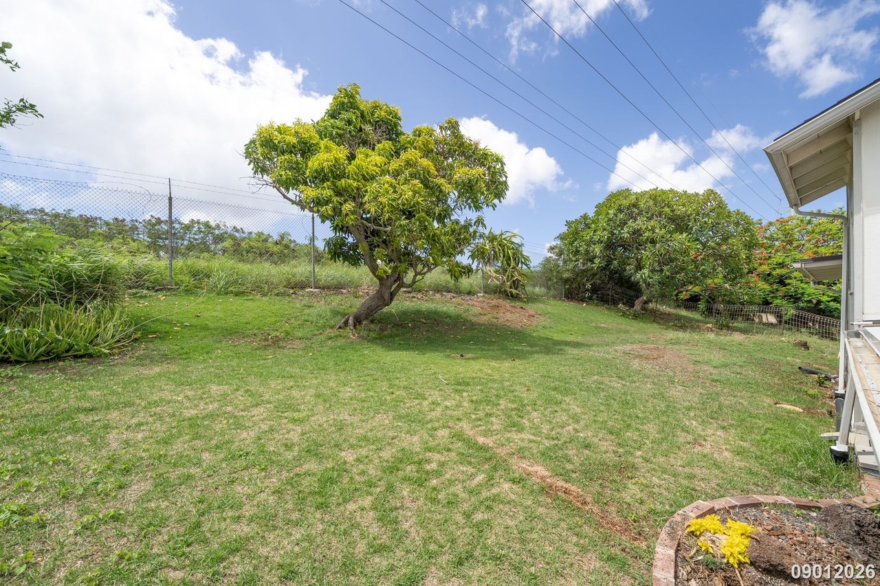 4211 Halupa St - Photo 4 of 21