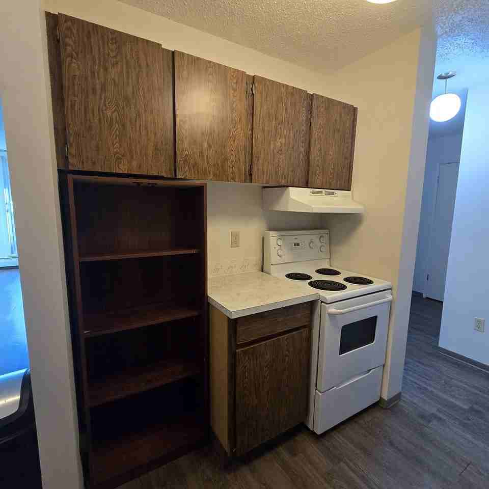 310 - 310 4 Ave Ne - Photo 4 of 25