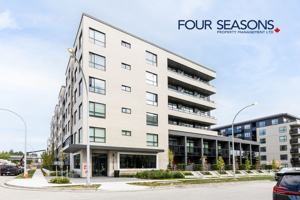 featured image of 15733 85 Avenue #329