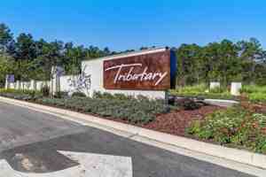 featured image of 75867 Saffron Ln