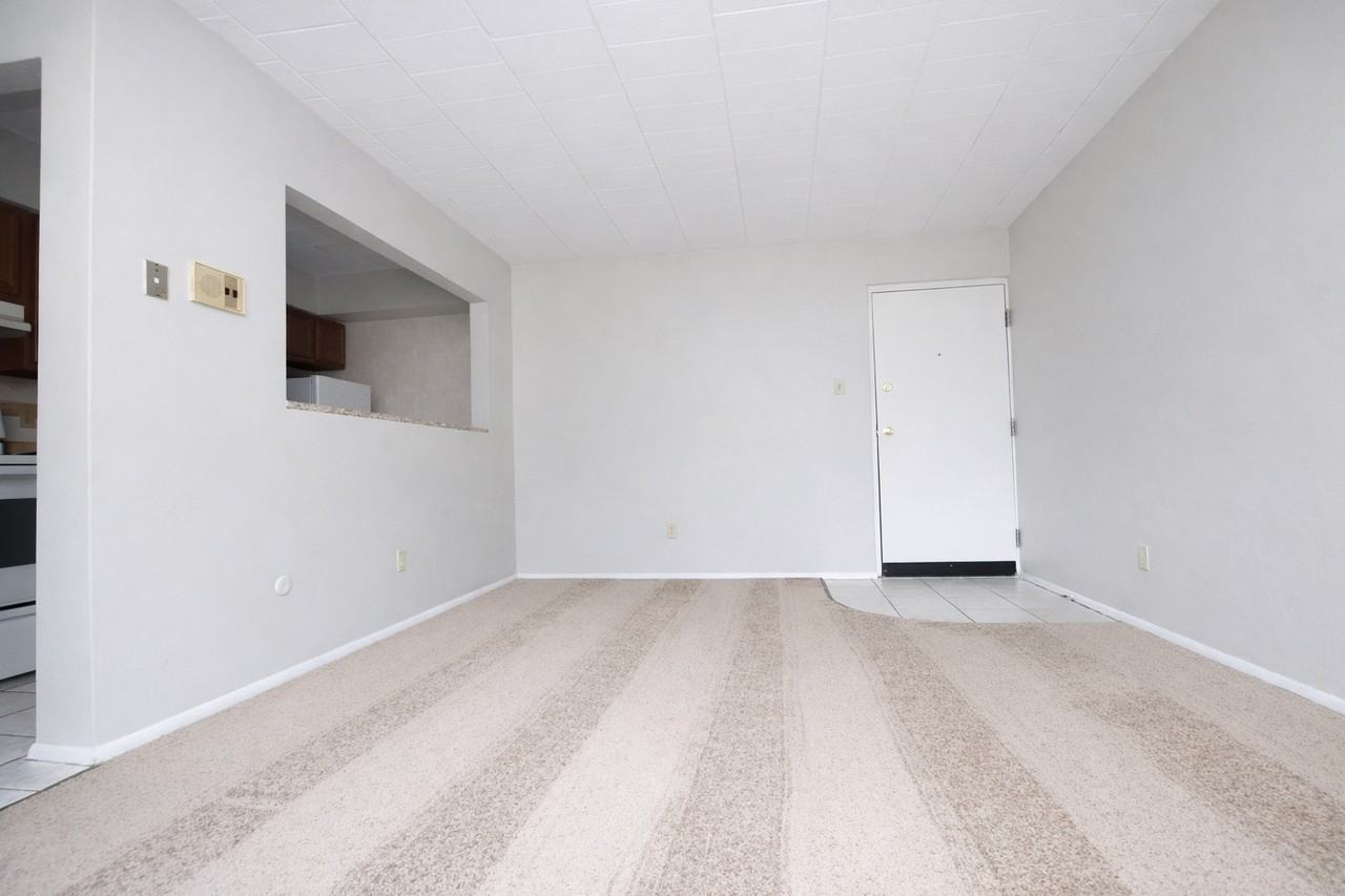 AMADELL APARTMENTS -- 005 - Photo 3 of 6
