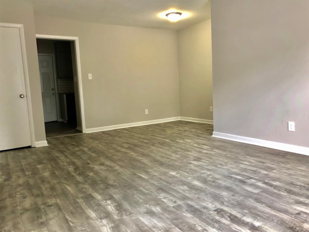 The Silvertree - Photo 7 of 50