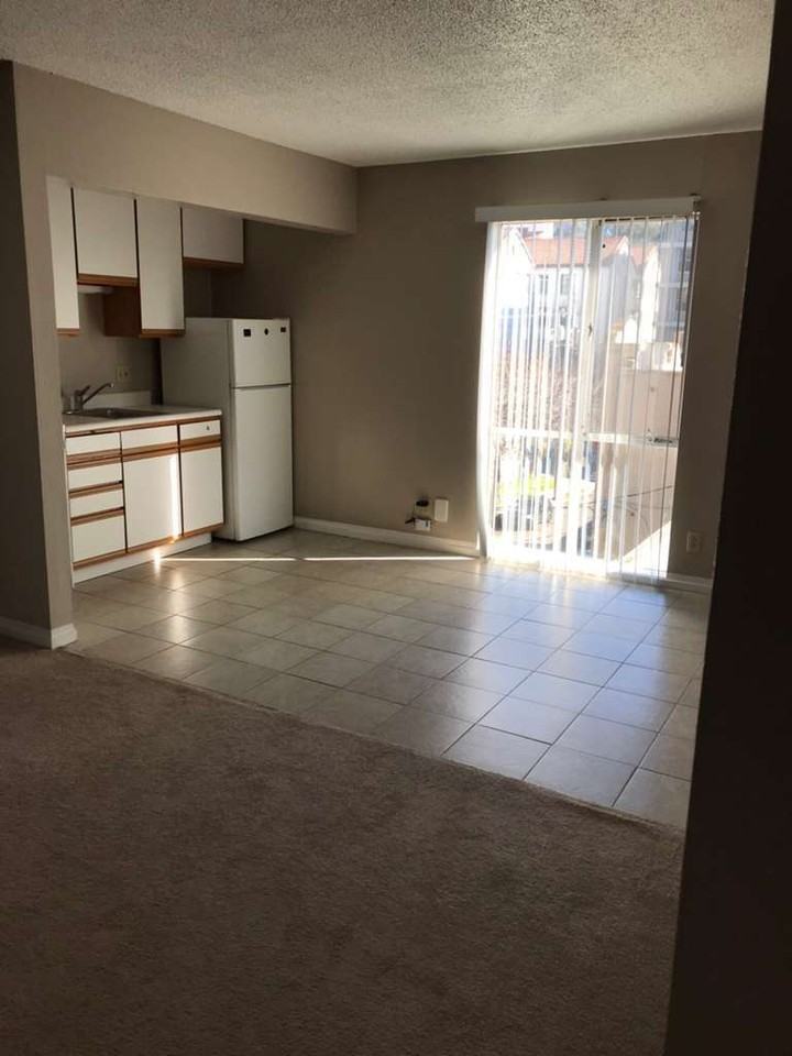 1800 Spruce Street - Photo 5 of 40