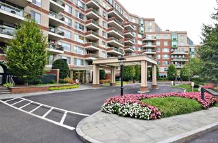 111 Cherry Valley Ave #M6 - Photo 1 of 1