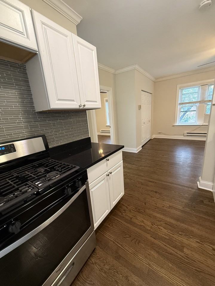 W Roscoe St #2N - Photo 7 of 8