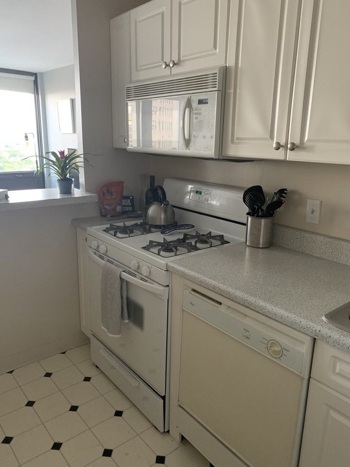 444 W Fullerton Pkwy #1505 - Photo 6 of 7