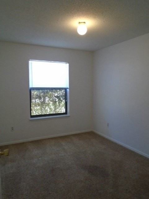 3910 Trinity Ln - Photo 6 of 15