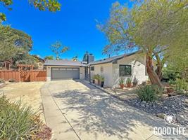 featured image of 3197 Mount Tami Dr