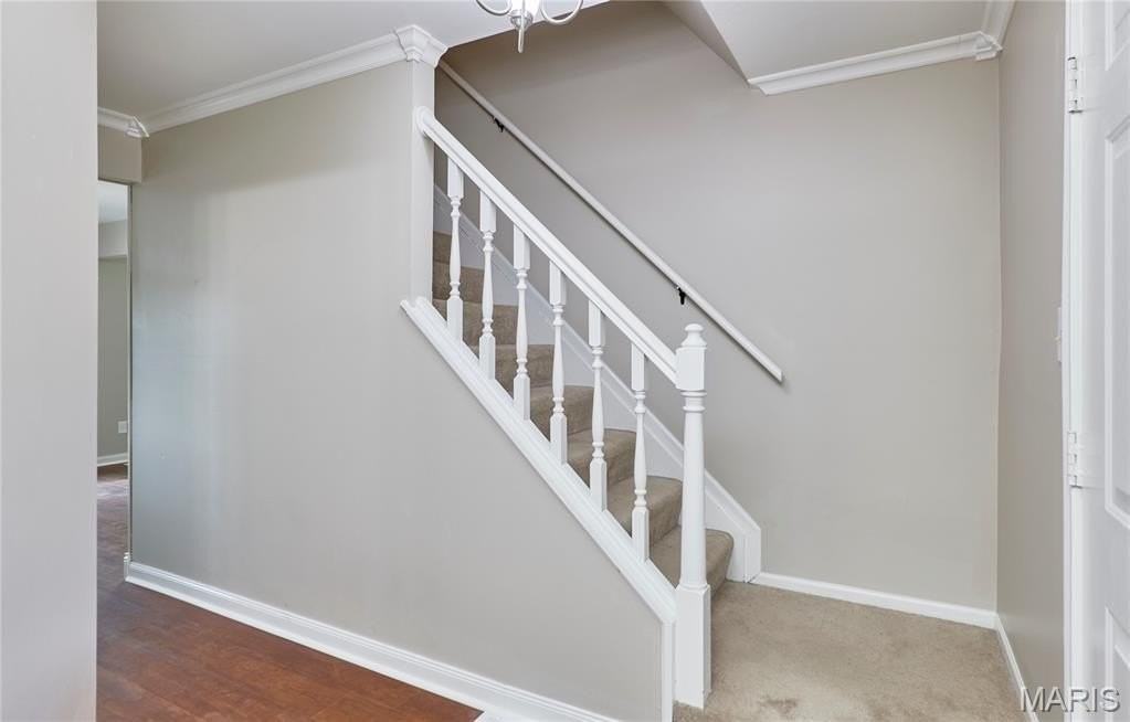 801 Tamerton Pl - Photo 5 of 33