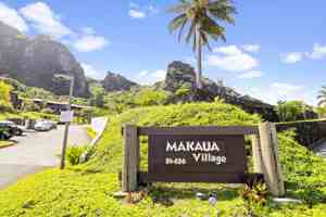 featured image of 51-636 Kamehameha Hwy #314