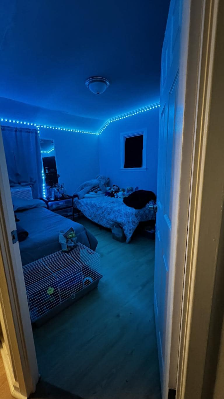 33 Dupont Pl - Photo 5 of 15