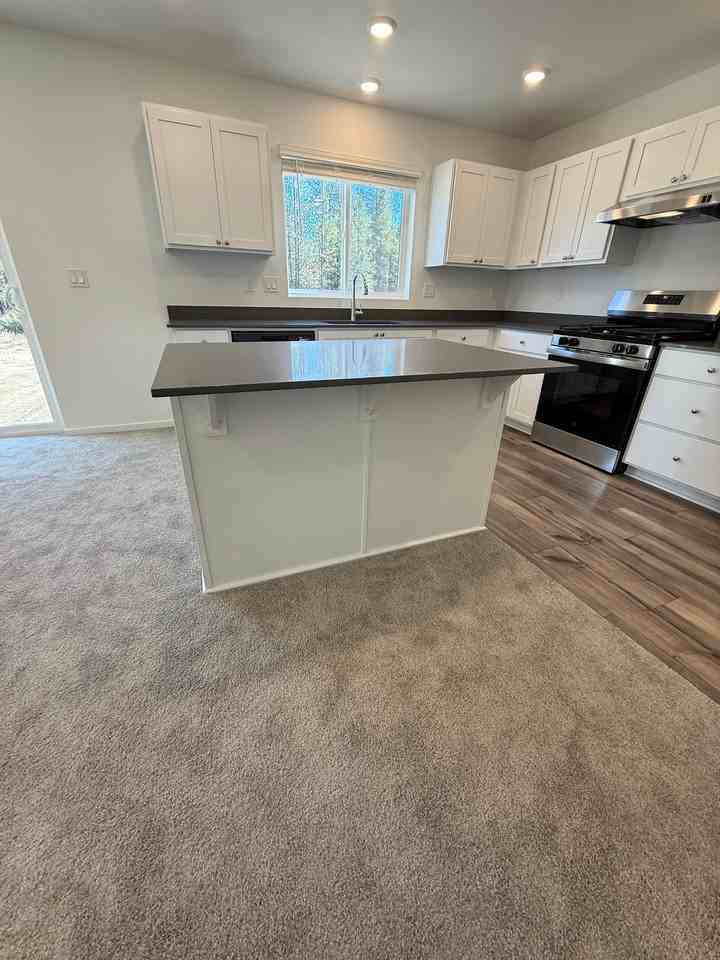 51718 Jubilee Pine Dr - Photo 3 of 14