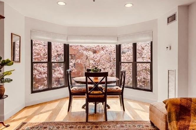 16 Harcourt St #3D - Photo 2 of 16