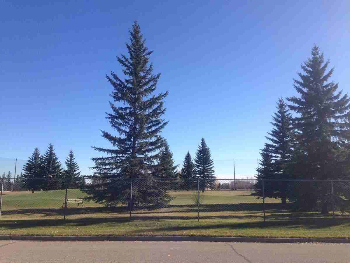 6427 20 St Sw - Photo 2 of 6
