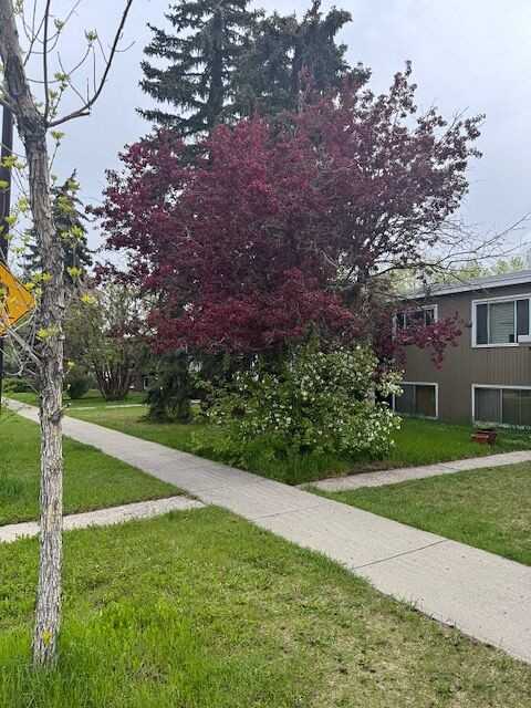 4432 - 4432 4 St Nw - Photo 2 of 6
