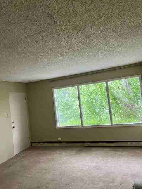 4432 - 4432 4 St Nw - Photo 6 of 6