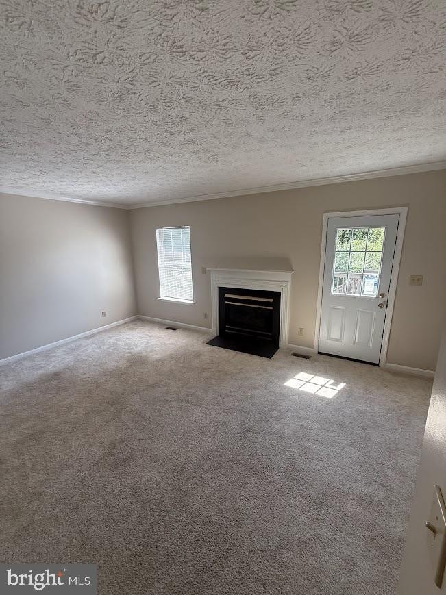 304 Tolbelt Ct - Photo 2 of 26