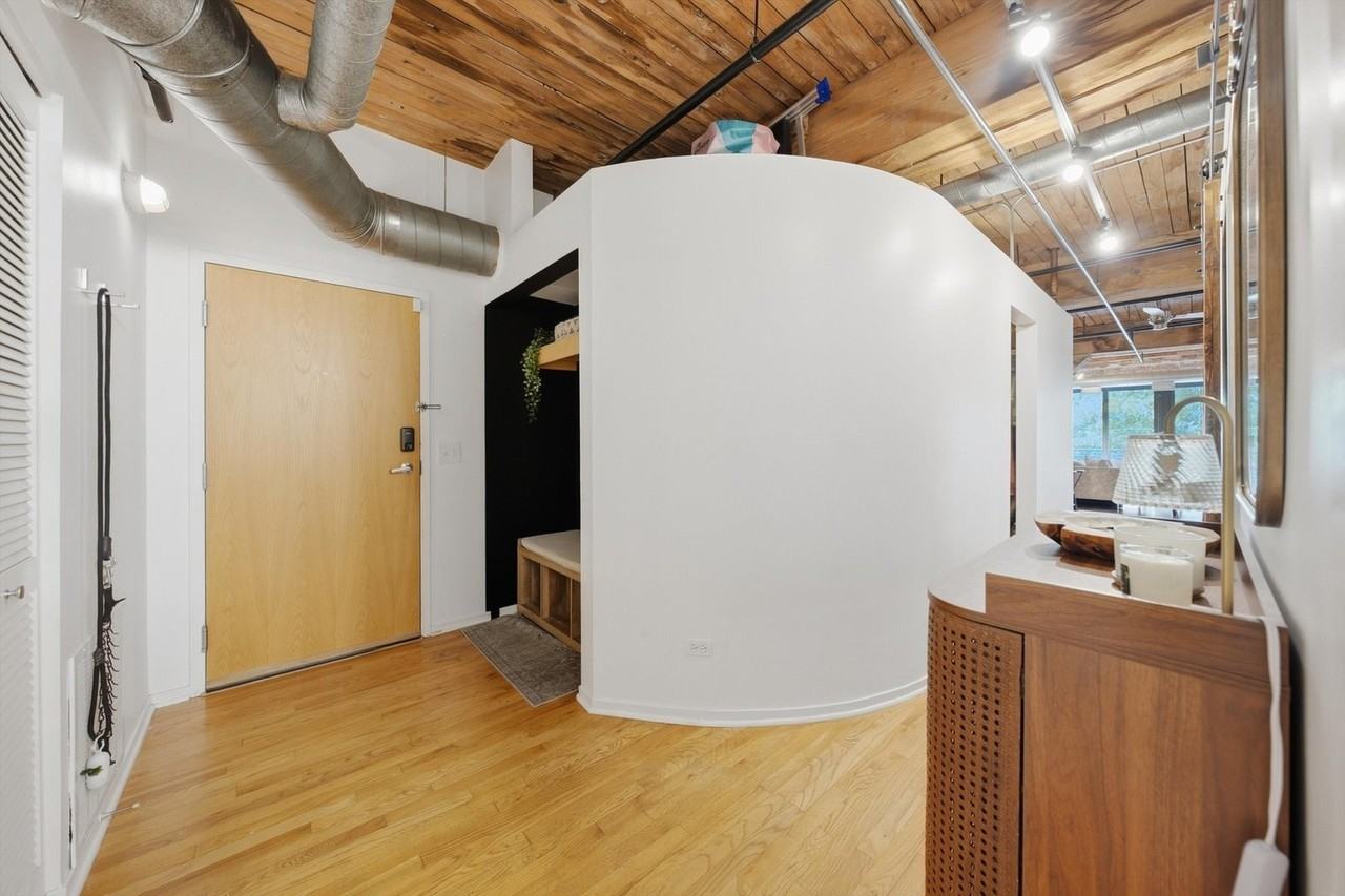 1525 S Michigan Ave #205 - Photo 3 of 19