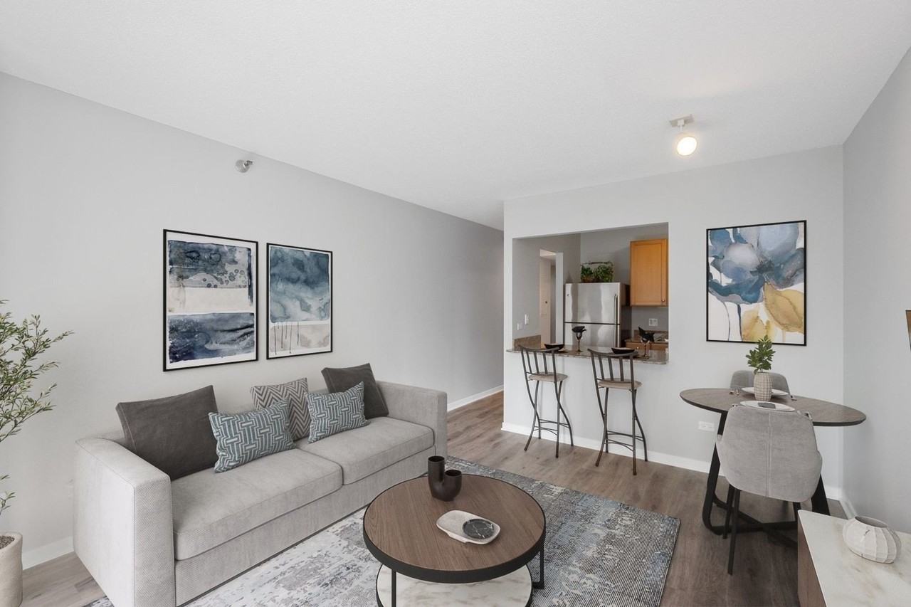 400 N La Salle Dr #3306 - Photo 5 of 23