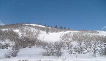 featured image of 3551 N Escala Ct #516