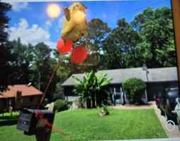 featured image of 183 Cave Springs court