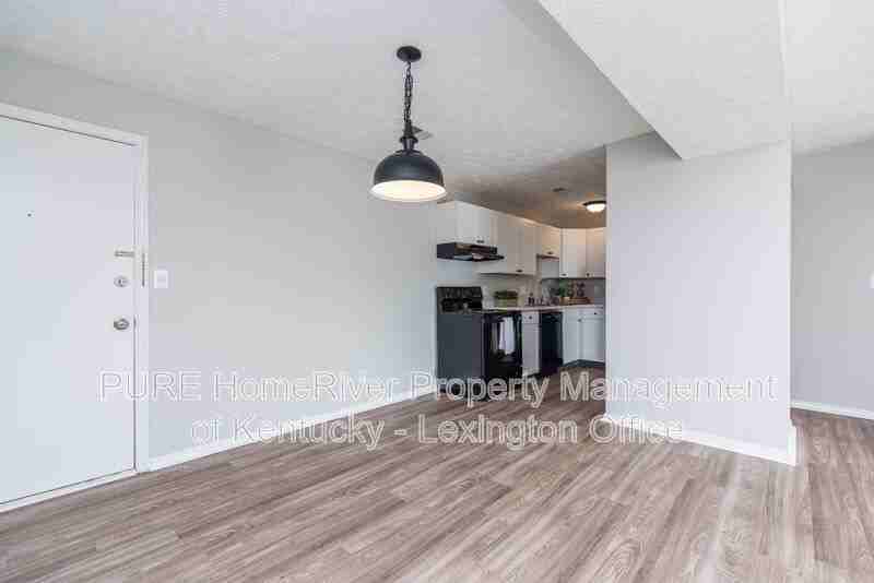360 Redding Rd #8 - Photo 4 of 14