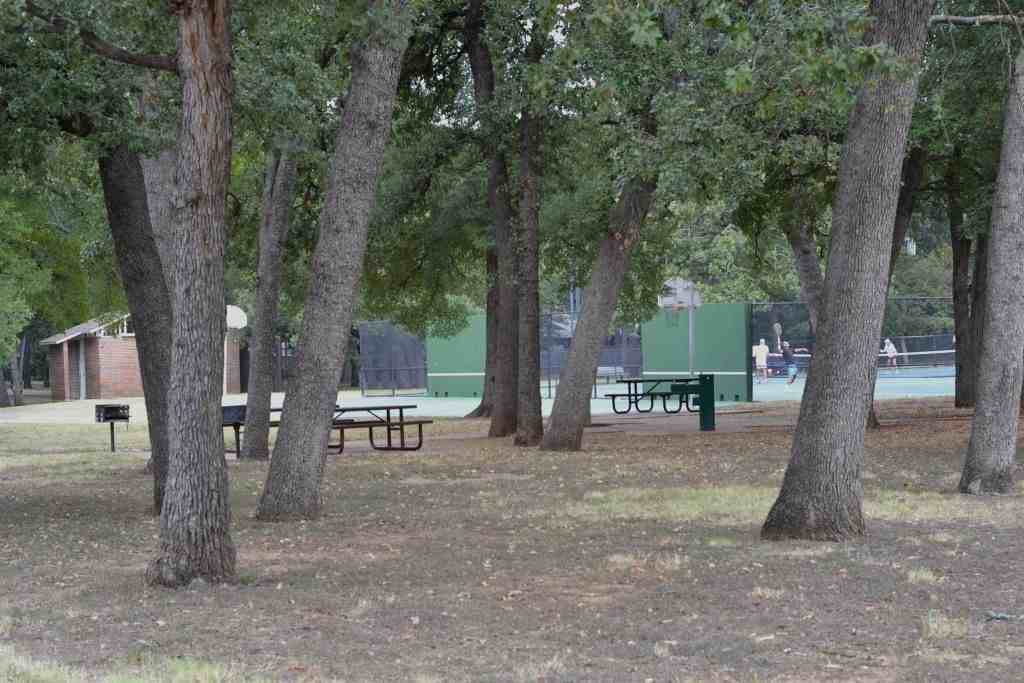 1722 Scenic Dr - Photo 6 of 8