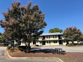 featured image of 315 E Magnolia Ave #124