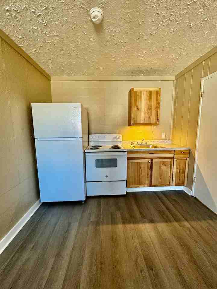 1018 W Lexington Ave #4 - Photo 4 of 13