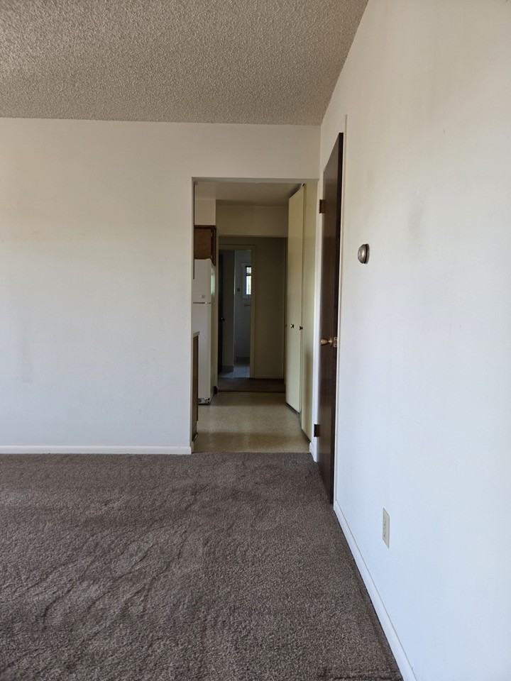 432 Lordwith - 3 #3 - Photo 5 of 18