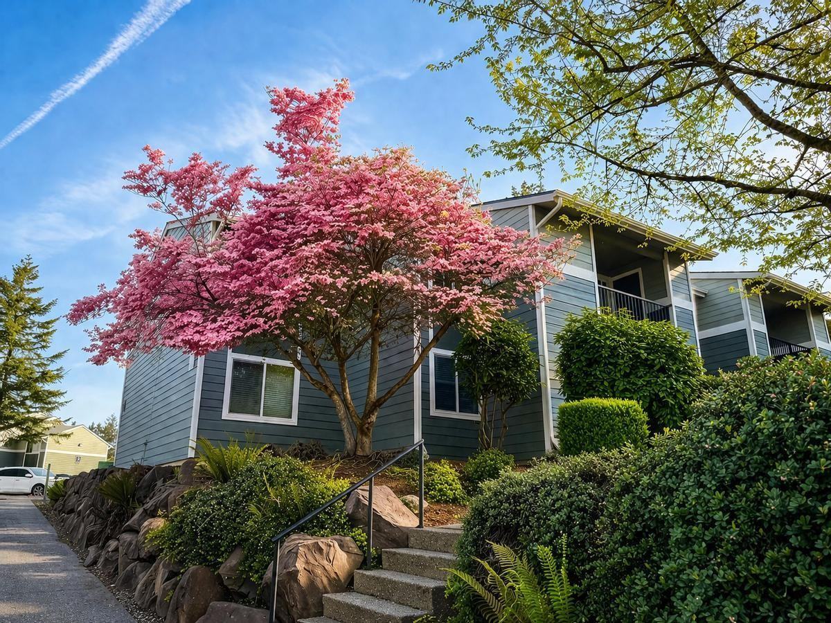 10820 Se 211th Pl - Photo 5 of 21