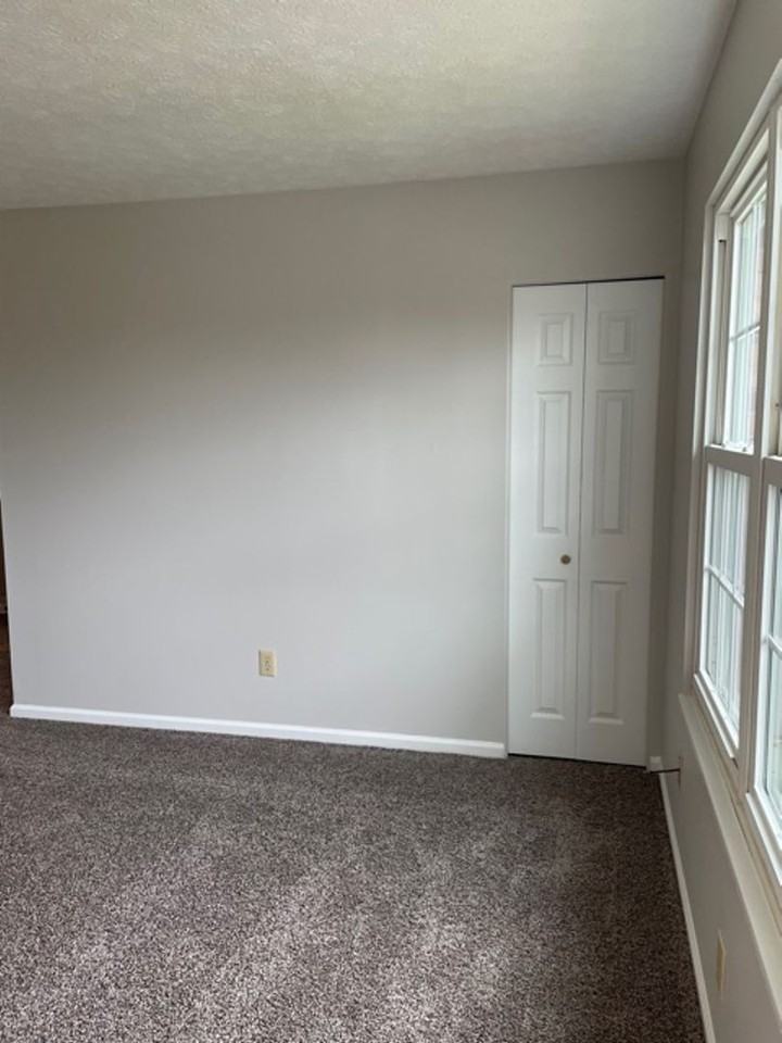 409 Shelby Ave #4 - Photo 3 of 17
