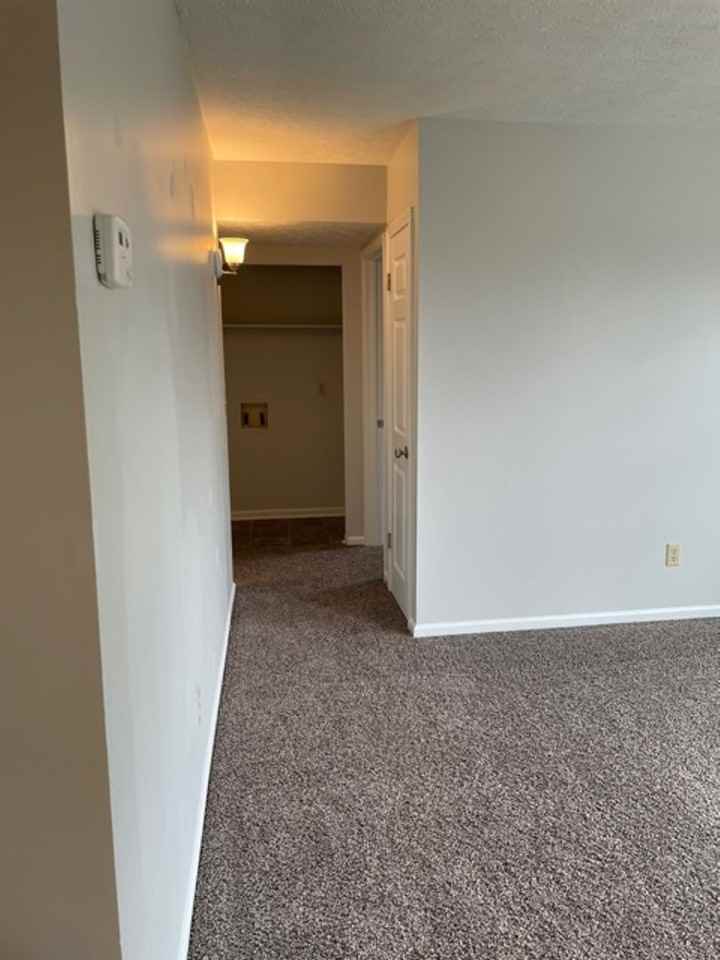 409 Shelby Ave #4 - Photo 5 of 17