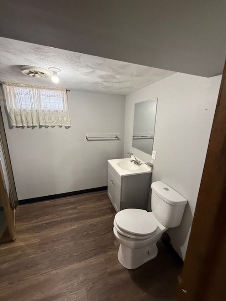 1134 W Cook St - Photo 5 of 14