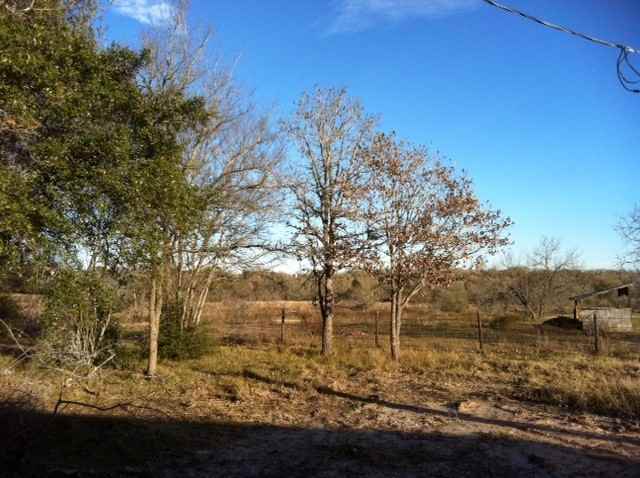 9595 River Rd - Photo 4 of 6