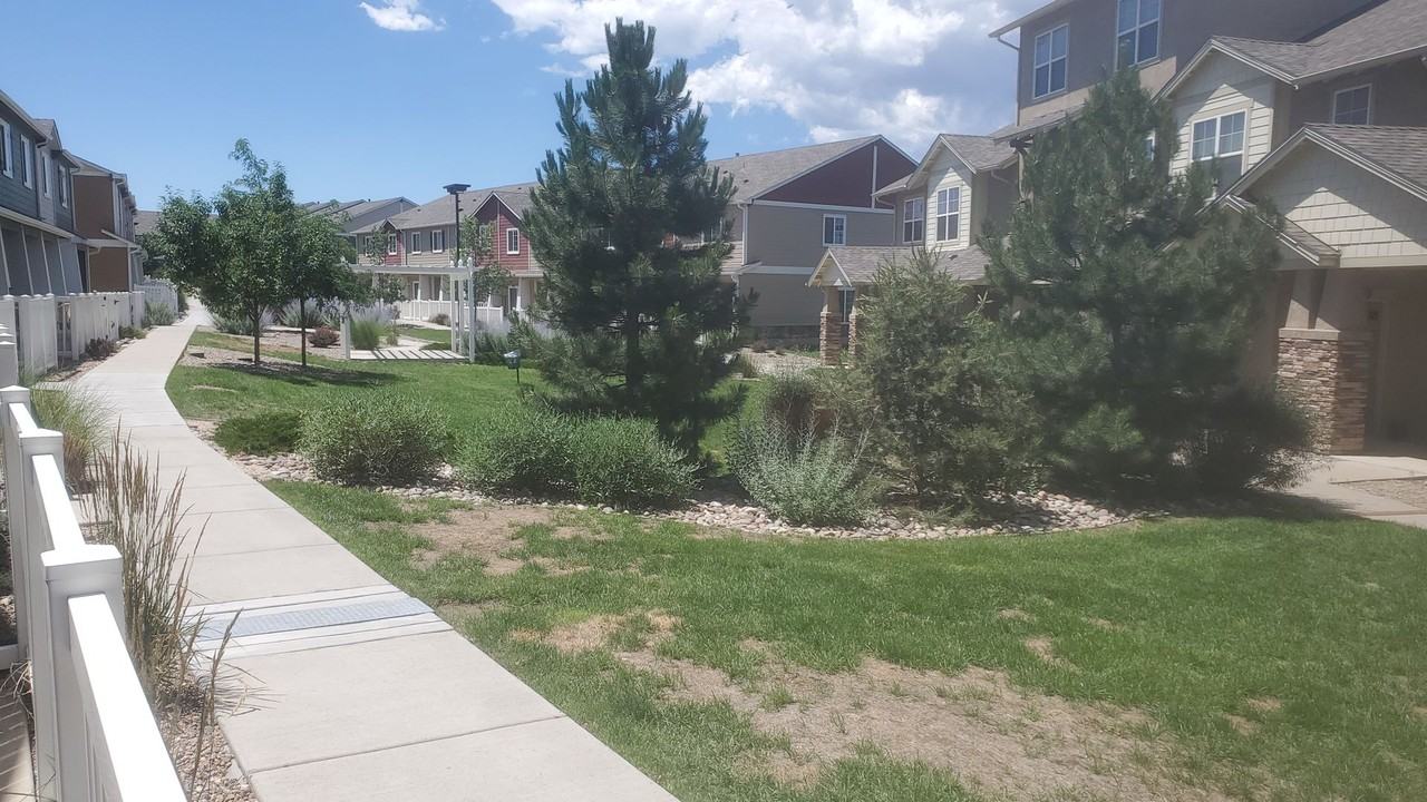 3062 Harpy Grv - Photo 3 of 20