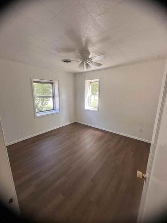 2236 B St Ne - Photo 4 of 14
