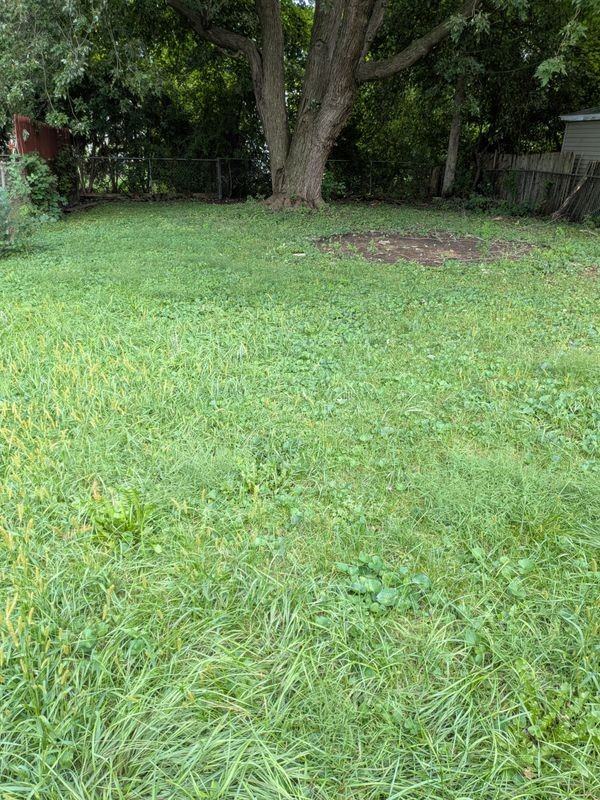 11720 Norborne - Photo 5 of 7