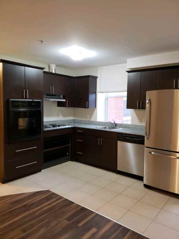 TVM 185 HUNTER STREET INC - Photo 7 of 42