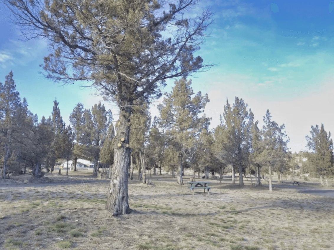 14900 Se Juniper Canyon Rd #9-9 - Photo 5 of 8
