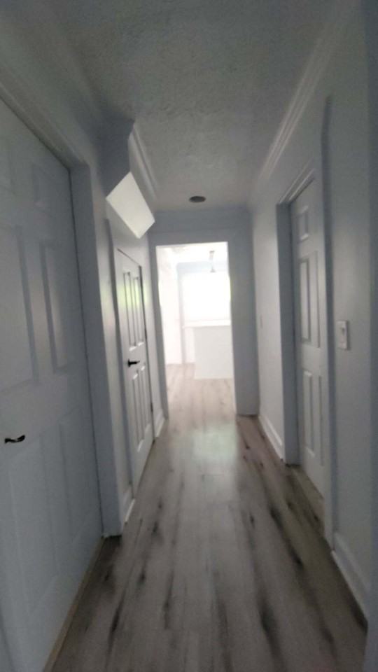 1055 Antioch Pike - Photo 6 of 11