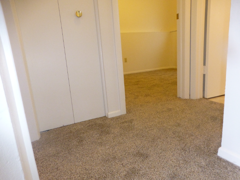 1062 Westmoreland Rd #1 - Photo 4 of 14