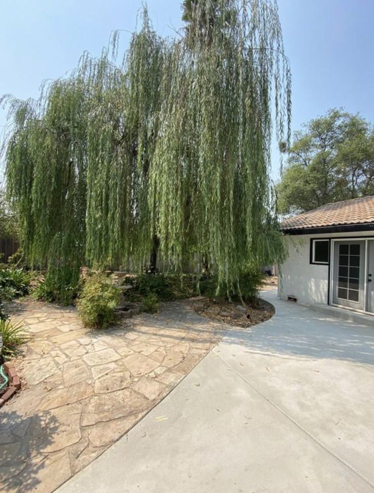3838 Los Santos Dr #NA - Photo 3 of 14