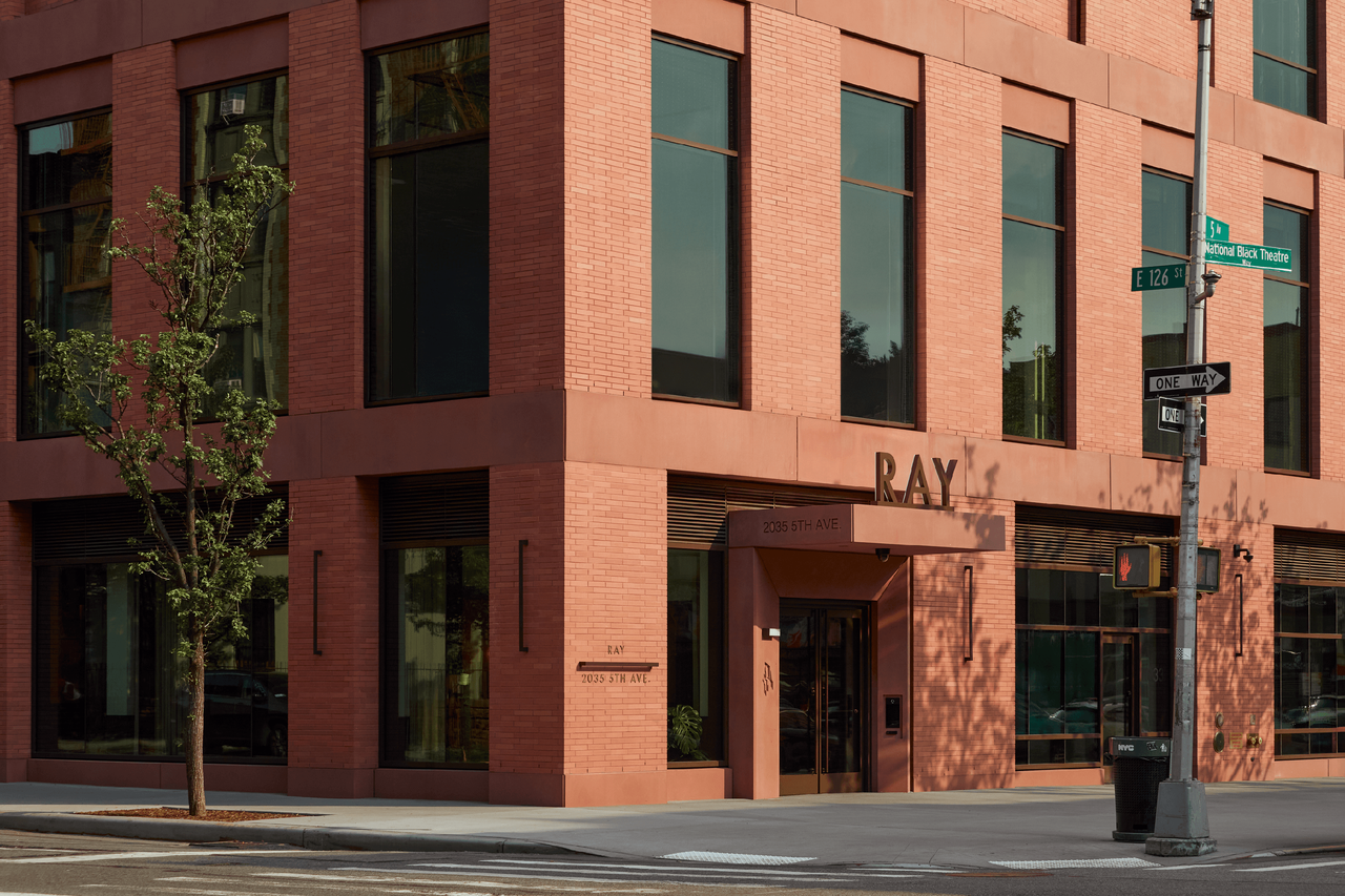 Ray Harlem - Photo 6 of 6
